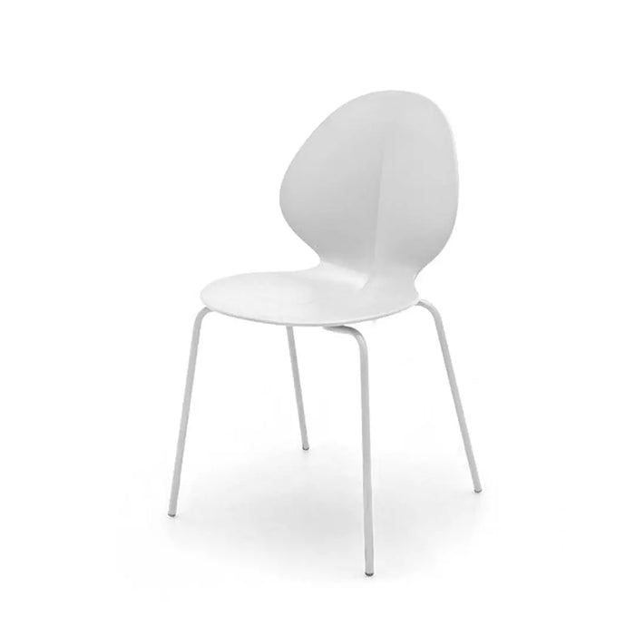 silla basil de colores