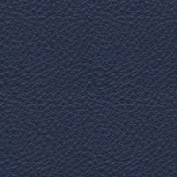 emotion indigo