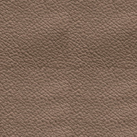 esprit antilope