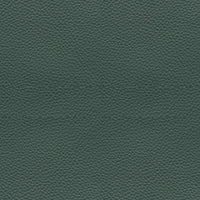 esprit verde bosque